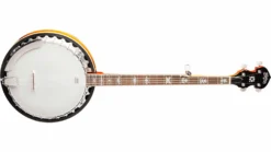 Washburbn B10 5-String Banjo